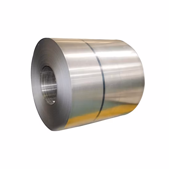 304 316L Hot/Cold Rolled/Stainless/PPGI, PPGL, Gi/Color Coated/Tinplate/Galvanized/Carbon/Zinc Coated/Galvalume/Steel Coil